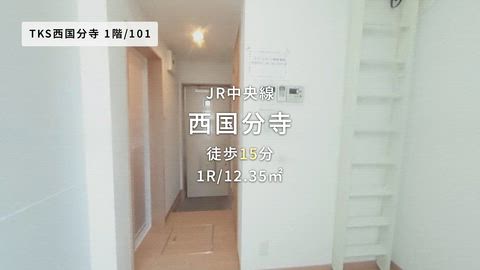 動画