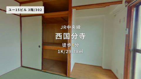 動画