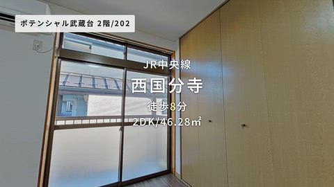 動画