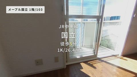 動画