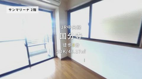 動画