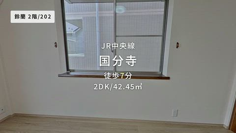 動画