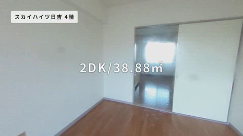 動画