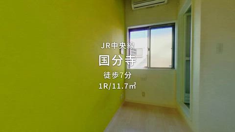 動画