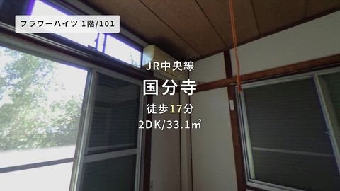 紹介ムービー