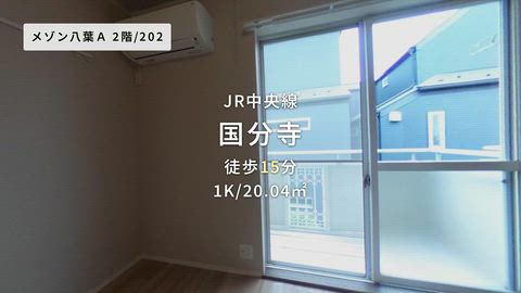 動画