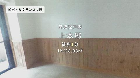 動画
