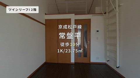動画