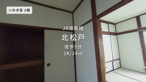 動画