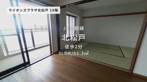 動画