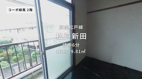 紹介ムービー