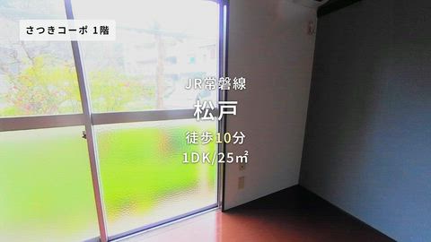 紹介ムービー