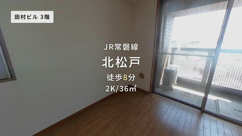 動画