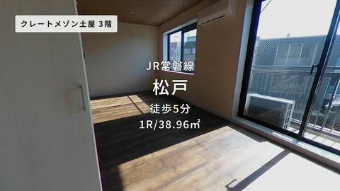 動画