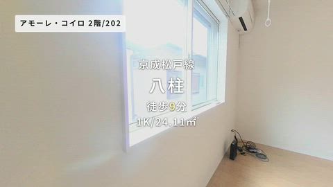 動画
