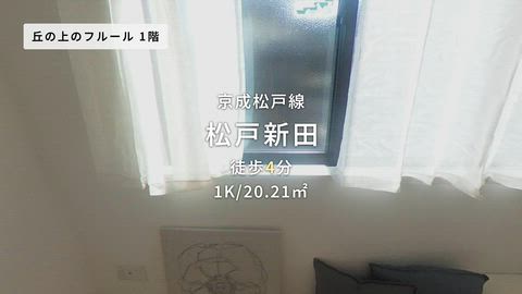 動画