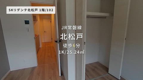 動画