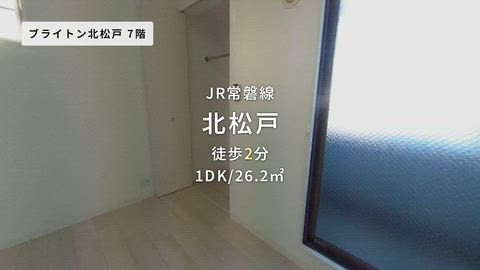動画