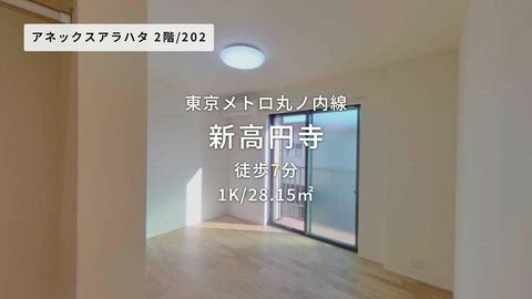 動画