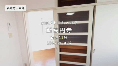 動画