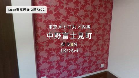 動画