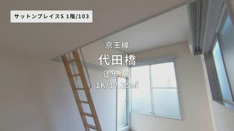 動画