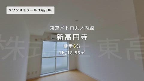 動画