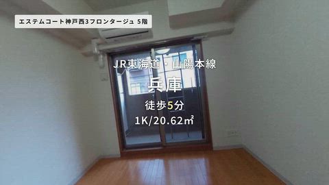 動画