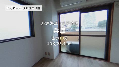 動画