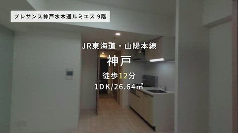 動画