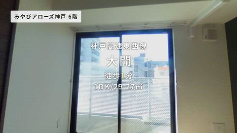 動画
