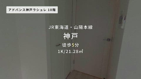 動画