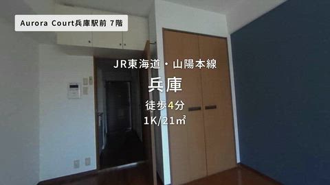 動画