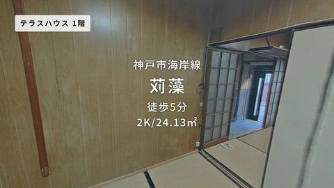 動画