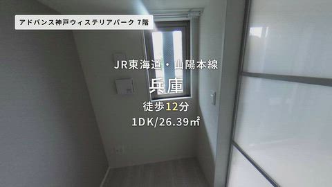 動画