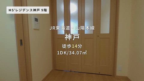 動画