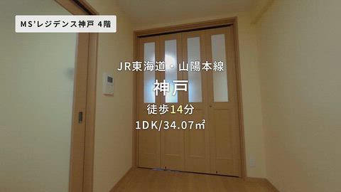 動画