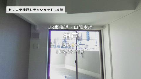 動画