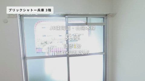 動画