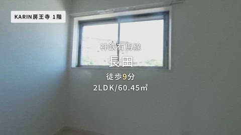 紹介ムービー