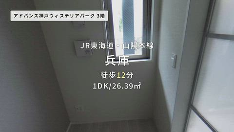 動画