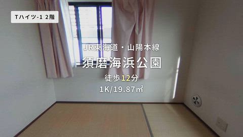 動画