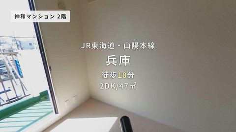 動画