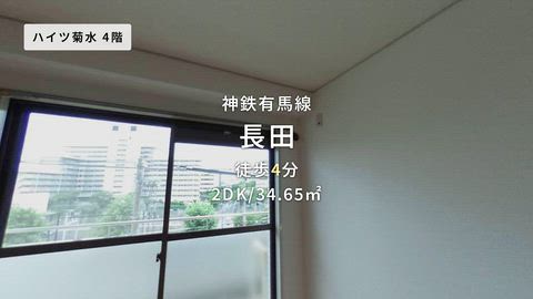 動画