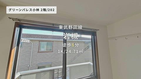 動画