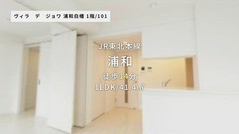動画