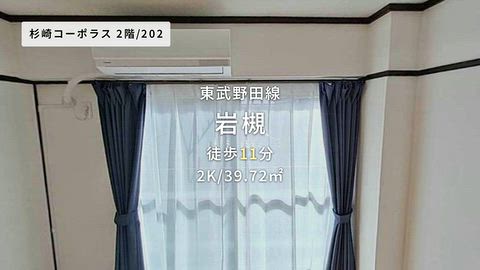 動画