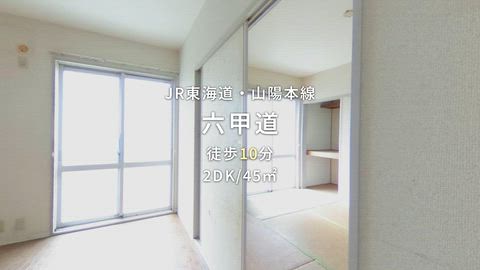 動画