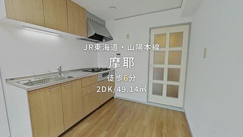 動画