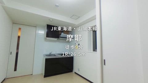 動画